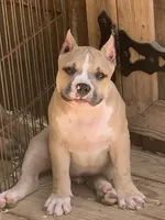 processed/cf3d924d-71af-4345-9cbc-b870f0348b6e/facility/466be386-c9d4-4537-a98a-4e37abffcd82