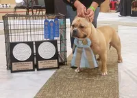 processed/cf3d924d-71af-4345-9cbc-b870f0348b6e/facility/499e45df-6cda-40e8-a783-fe4de29e7fb9