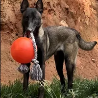 processed/cf3d924d-71af-4345-9cbc-b870f0348b6e/facility/58b8945d-c7a2-4090-8344-98d3c156ae59