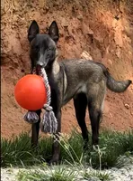 processed/cf3d924d-71af-4345-9cbc-b870f0348b6e/facility/58b8945d-c7a2-4090-8344-98d3c156ae59