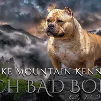 processed/cf3d924d-71af-4345-9cbc-b870f0348b6e/facility/768608e4-cac8-47d4-95df-19c9291d10b8