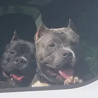 processed/cf3d924d-71af-4345-9cbc-b870f0348b6e/facility/787983e8-8df3-45e0-9f98-fb3cfd70f33b