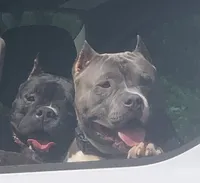 processed/cf3d924d-71af-4345-9cbc-b870f0348b6e/facility/787983e8-8df3-45e0-9f98-fb3cfd70f33b