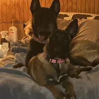 processed/cf3d924d-71af-4345-9cbc-b870f0348b6e/facility/caa1dd97-3242-4372-8398-93e7a6933608