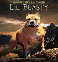 processed/cf3d924d-71af-4345-9cbc-b870f0348b6e/facility/d4db3fd5-eba8-4c3f-823b-0e5f809d841a