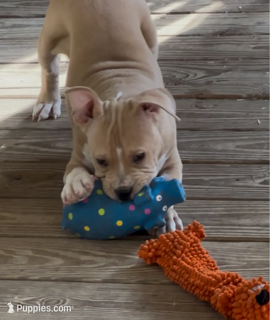 processed/cf3d924d-71af-4345-9cbc-b870f0348b6e/listing/43c1d0a8-afaa-459e-8f07-e2667faa2bc5/16fde277-f0d0-410f-abd0-7700dab5ff80