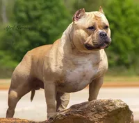 processed/cf3d924d-71af-4345-9cbc-b870f0348b6e/listing/43c1d0a8-afaa-459e-8f07-e2667faa2bc5/610a1ad8-725e-4e15-a3fd-ea137912fee3