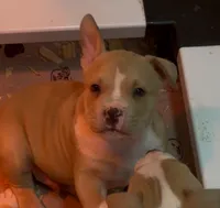 processed/cf3d924d-71af-4345-9cbc-b870f0348b6e/listing/43c1d0a8-afaa-459e-8f07-e2667faa2bc5/9dee38fe-ca97-4d87-8301-63dad9c6f430