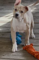 processed/cf3d924d-71af-4345-9cbc-b870f0348b6e/listing/43c1d0a8-afaa-459e-8f07-e2667faa2bc5/baf75fc0-4492-4735-a8c9-5357679d694a