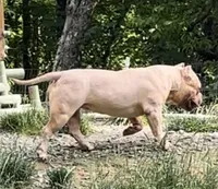 processed/cf3d924d-71af-4345-9cbc-b870f0348b6e/listing/ec7b4d76-1964-40a2-baa5-3243e10dacde/1dde3287-748f-4344-b340-ca4f1ef72ac0