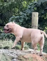 processed/cf3d924d-71af-4345-9cbc-b870f0348b6e/listing/ec7b4d76-1964-40a2-baa5-3243e10dacde/42e20503-dca4-4ec5-84f7-d2c3f86c5408