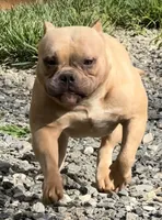 processed/cf3d924d-71af-4345-9cbc-b870f0348b6e/listing/ec7b4d76-1964-40a2-baa5-3243e10dacde/85bb7141-e621-4352-91c9-b967ec3b51ae