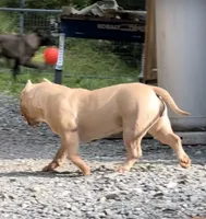 processed/cf3d924d-71af-4345-9cbc-b870f0348b6e/listing/ec7b4d76-1964-40a2-baa5-3243e10dacde/9476aeb9-2b63-44f5-9ded-0def6ad0c1e3