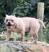 processed/cf3d924d-71af-4345-9cbc-b870f0348b6e/listing/ec7b4d76-1964-40a2-baa5-3243e10dacde/a5124451-f902-4d56-a32d-d326ba51f634