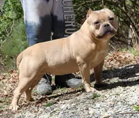 processed/cf3d924d-71af-4345-9cbc-b870f0348b6e/listing/ec7b4d76-1964-40a2-baa5-3243e10dacde/cb5673c7-f666-4bff-9d11-314ef990219f