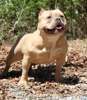 processed/cf3d924d-71af-4345-9cbc-b870f0348b6e/listing/ec7b4d76-1964-40a2-baa5-3243e10dacde/d7da9fba-66ca-4654-a621-93a444d2b036