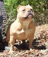 processed/cf3d924d-71af-4345-9cbc-b870f0348b6e/listing/ec7b4d76-1964-40a2-baa5-3243e10dacde/dd516530-d01e-48ca-ad1c-c0439065daf9