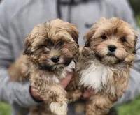 processed/cf47359e-c390-4af3-97e8-60a4994b50e1/listing/deb33bb7-0c1a-4523-8748-fb7353862455/778a48e5-ace0-4cad-ad7a-bf85f02edf52