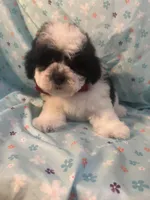 processed/cf4c3379-1f66-4adf-92eb-c4c4c84e5ae2/facility/1bac1a27-01ac-49bd-866d-08552ab9c73d