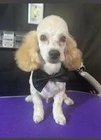 processed/cf4c3379-1f66-4adf-92eb-c4c4c84e5ae2/facility/3f524b2e-ce1d-449c-94bf-fc0da35e7cfb