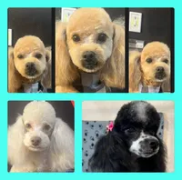 processed/cf4c3379-1f66-4adf-92eb-c4c4c84e5ae2/facility/5ef924f7-a59c-4009-8743-0419fa4974b9