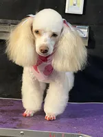 processed/cf4c3379-1f66-4adf-92eb-c4c4c84e5ae2/facility/8f052244-1cc6-427e-b57a-cdf29160ab9e