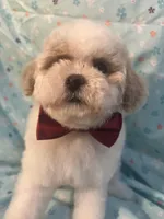 processed/cf4c3379-1f66-4adf-92eb-c4c4c84e5ae2/facility/b190d721-c408-4192-8731-bd2ad48ff3a7