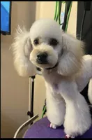 processed/cf4c3379-1f66-4adf-92eb-c4c4c84e5ae2/facility/d85a8416-7872-4dc2-a5c5-a64e03551cdb