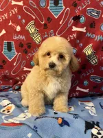 processed/cf4c3379-1f66-4adf-92eb-c4c4c84e5ae2/listing/1e21e16c-4483-440b-b7ff-ebe4bb22a2eb/39c172a1-50e4-4510-8ea3-683b6a43e039