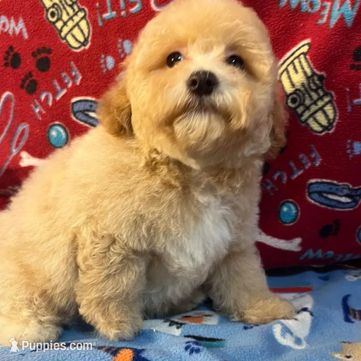 processed/cf4c3379-1f66-4adf-92eb-c4c4c84e5ae2/listing/1e21e16c-4483-440b-b7ff-ebe4bb22a2eb/e978782e-9fa9-4988-be4c-e2ab77ebcccd