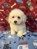 processed/cf4c3379-1f66-4adf-92eb-c4c4c84e5ae2/listing/98b56614-da08-4495-b238-7ae0366554cd/1c501836-0359-4fd0-b157-1c3f448555ce