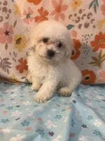 processed/cf4c3379-1f66-4adf-92eb-c4c4c84e5ae2/listing/98b56614-da08-4495-b238-7ae0366554cd/6afb87f4-2fcf-4f03-9e11-327c543fd1da