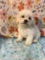 processed/cf4c3379-1f66-4adf-92eb-c4c4c84e5ae2/listing/98b56614-da08-4495-b238-7ae0366554cd/939c5d9c-a8ab-432a-9c7f-5f632de8df1e