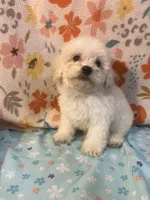 processed/cf4c3379-1f66-4adf-92eb-c4c4c84e5ae2/listing/98b56614-da08-4495-b238-7ae0366554cd/c0a4b7f1-daf6-4e59-af24-874b89d2dba9