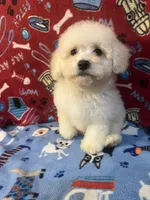 processed/cf4c3379-1f66-4adf-92eb-c4c4c84e5ae2/listing/98b56614-da08-4495-b238-7ae0366554cd/dc04a3ab-2c32-4319-9079-6064d373421f