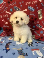 processed/cf4c3379-1f66-4adf-92eb-c4c4c84e5ae2/listing/98b56614-da08-4495-b238-7ae0366554cd/df7ec5d1-d35f-41fa-a052-e6aa706ad99c