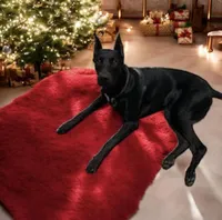 processed/cf514a0b-380d-4484-8131-668f28b48ba8/facility/9510618b-2eb1-418d-af8f-22377dd89d88