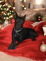 processed/cf514a0b-380d-4484-8131-668f28b48ba8/facility/d1842aee-bee0-44eb-9d40-894dc9eef8d7