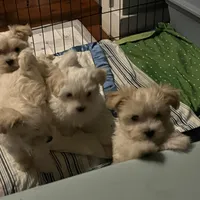 processed/cf60910f-c8d8-4999-85b5-6b27909a857f/facility/1ae26816-21f2-427b-a6ef-0c7afd4131ea