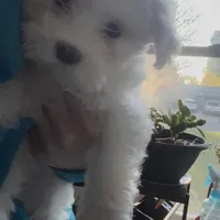 processed/cf60910f-c8d8-4999-85b5-6b27909a857f/facility/4a0f83ca-515c-479b-875c-3f14fad8f560