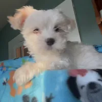 processed/cf60910f-c8d8-4999-85b5-6b27909a857f/facility/4ea33e40-90f7-4645-9b23-d2dce5450cad