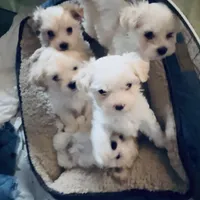 processed/cf60910f-c8d8-4999-85b5-6b27909a857f/facility/804f4df0-b234-458e-b96c-6f4f8277ac17