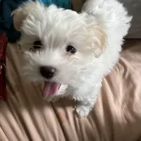 processed/cf60910f-c8d8-4999-85b5-6b27909a857f/facility/8a027060-ff17-4fa8-bd43-2f5633f46d83