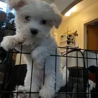 processed/cf60910f-c8d8-4999-85b5-6b27909a857f/facility/aa8f245e-7884-448c-af12-f632df25c907