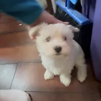 processed/cf60910f-c8d8-4999-85b5-6b27909a857f/facility/e455bf7c-d439-45d4-98a5-09b1dfa5f01e