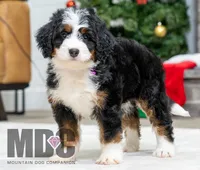 processed/cf64a069-908f-4de4-8cba-79ab5fd2abd3/listing/d8711164-9225-4514-87e2-21a8d08b372b/490b73e3-2a95-4925-b60e-c32876ac583c