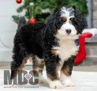 processed/cf64a069-908f-4de4-8cba-79ab5fd2abd3/listing/d8711164-9225-4514-87e2-21a8d08b372b/7c8e19c0-1d43-4a63-be52-216c751b2eb6