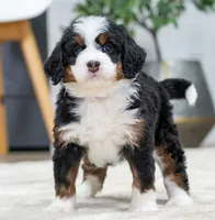 processed/cf64a069-908f-4de4-8cba-79ab5fd2abd3/listing/d8711164-9225-4514-87e2-21a8d08b372b/d9e77f6a-d71a-489a-b544-d4bcb0a5a76d