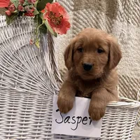 processed/cf65b0eb-2551-4045-b795-77a8d13f90f1/listing/c9bd5e4a-0c2a-4c8e-b3ba-eafb20e010f4/5efbfe8c-9adb-42e2-9699-3d253f2d02b1