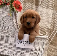 processed/cf65b0eb-2551-4045-b795-77a8d13f90f1/listing/c9bd5e4a-0c2a-4c8e-b3ba-eafb20e010f4/a88be48e-0773-4032-8b13-9301978ef7ab